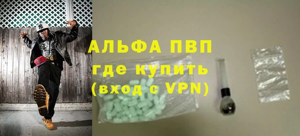 стафф Алзамай