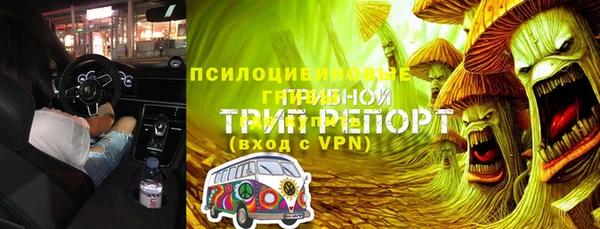 стафф Алзамай