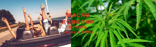 сатива Заречный