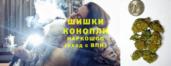 сатива Заречный