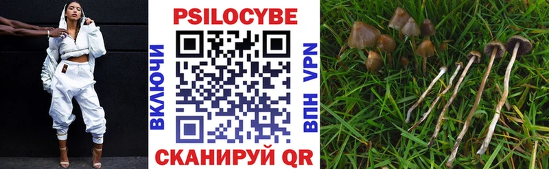 наркошоп  Анжеро-Судженск  Псилоцибиновые грибы GOLDEN TEACHER 
