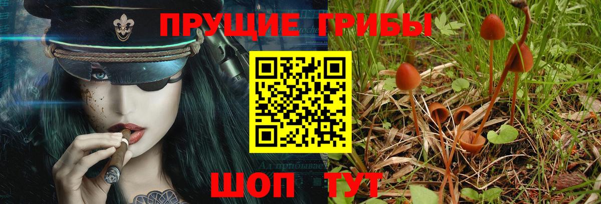 Псилоцибиновые грибы мухоморы Анжеро-Судженск
